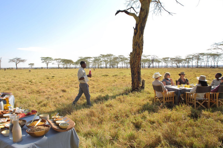 Selected property in Central Serengeti on the 'Capturing the Great Migration' journey, with Art In Voyage