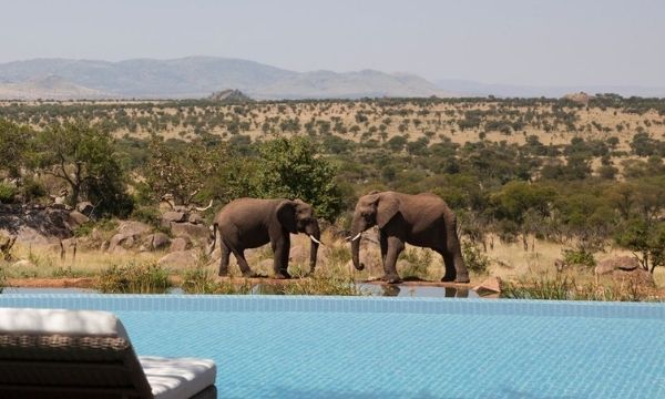 Best Warm Places To Visit In December - Kruger National Park Safari, South Africa | By Art In Voyage