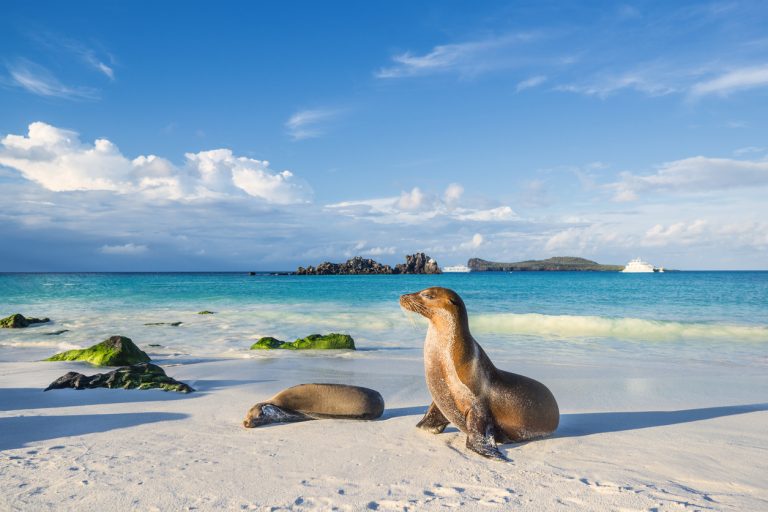 The Galapagos Island, By Art In Voyage