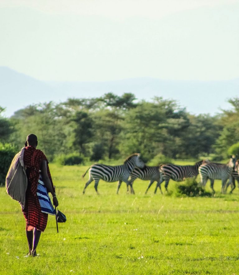 Safari in Tanzania, by Art In Voyage