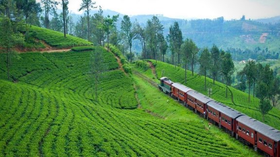 Kandy to Hatton by train