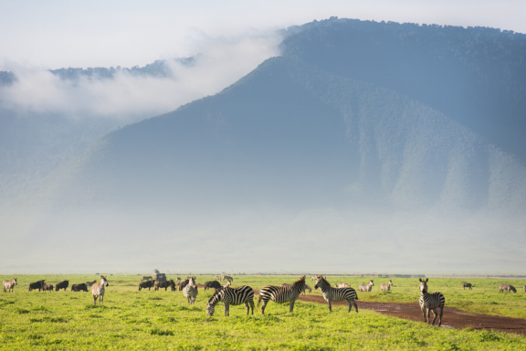Ngorongoro Highlands