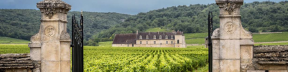 Burgundy and Beaujolais Wine Travel Package | Art In Voyage