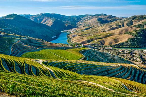  Classic Vintages of Douro