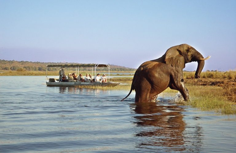 Discover Botswana with Art In Voyage