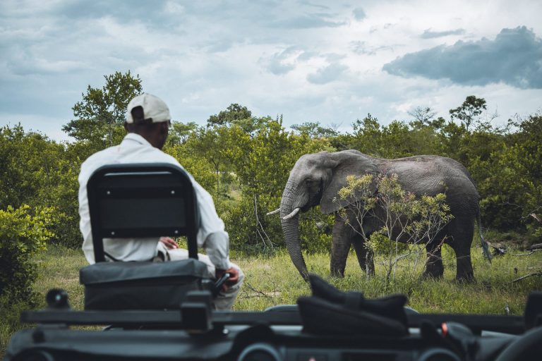 Kruger National Park, African Safari, By Art in Voyage