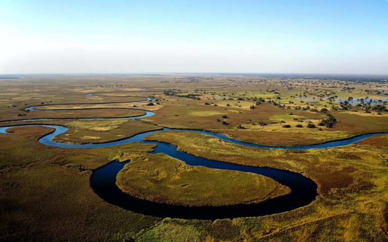 Okavango Delta, African Safari, By Art in Voyage