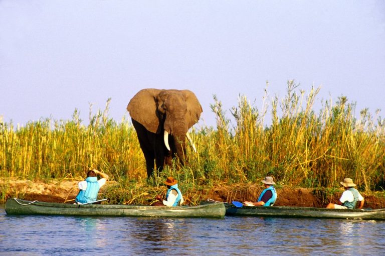 Lower Zambezi National Park, African Safari, By Art in Voyage